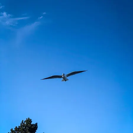 Foerdelaeufer * Glücksburg