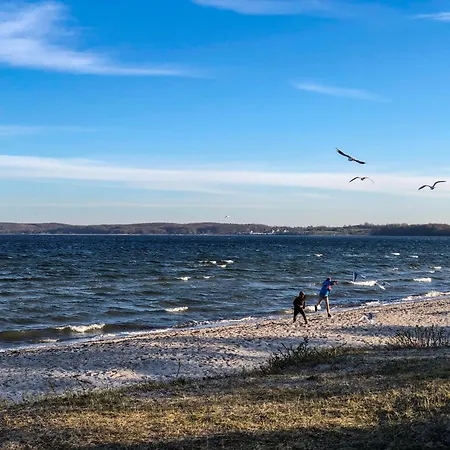 Foerdelaeufer Glücksburg