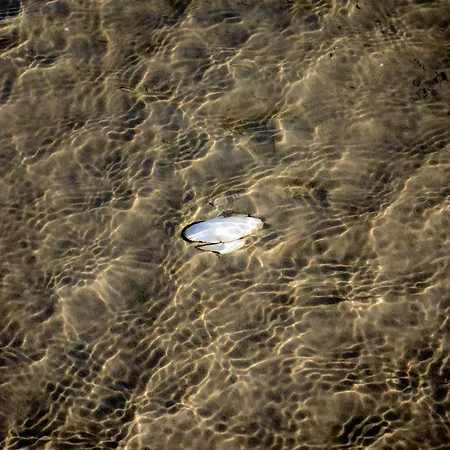 Apartamento Foerdelaeufer *