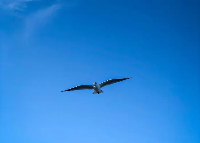 Foerdelaeufer * Glücksburg