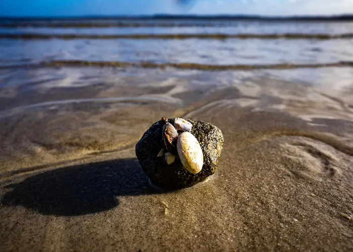 Foerdelaeufer * Glücksburg